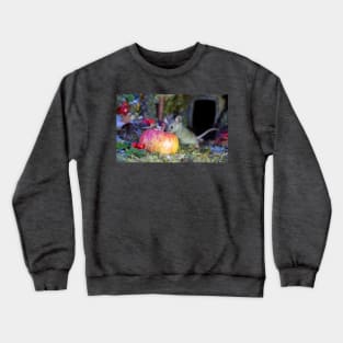 wild house mouse  with a apple Crewneck Sweatshirt